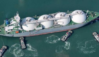 China's LNG imports plunge under weak economy and US friction