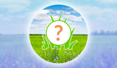 Pokémon GO Spotlight Hour for Tuesday, December 30th, 2025 – Nintendo Wire