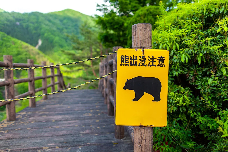 An image of Bear-warning sign. (Japanese translation: Beware of Bears) (Tony Studio / Getty Images file)