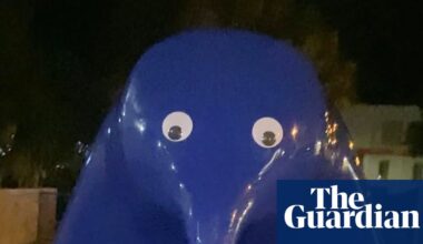 A vision splendid or eyesore? South Australian court to rule on ‘Blue Blob’ sculpture vandalism charge | South Australia