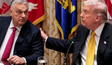 US hoping to pull four ‘MAGA ally’ countries out of EU, report claims