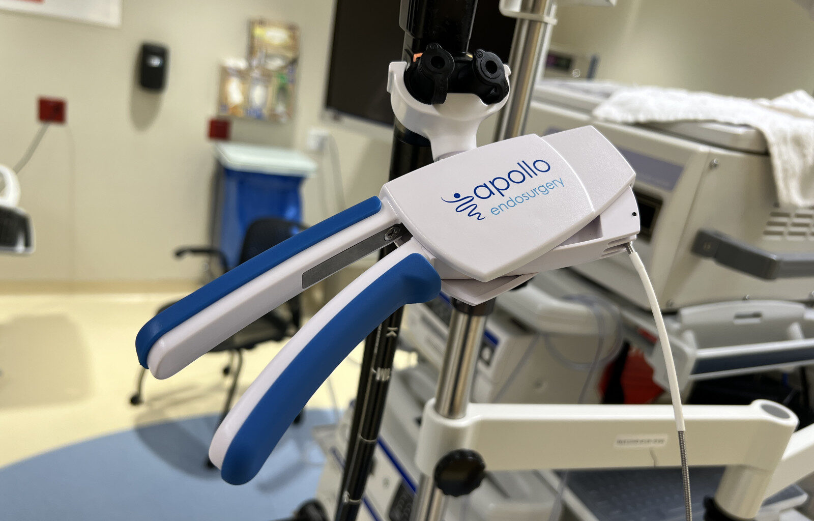 Shrink Your Stomach This New Year