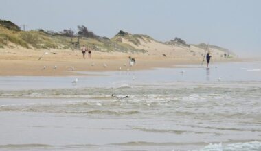 Allan government approves two projects as shortfalls loom