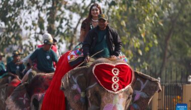 Nepal marks 19th Elephant and Tourism Festival-Xinhua