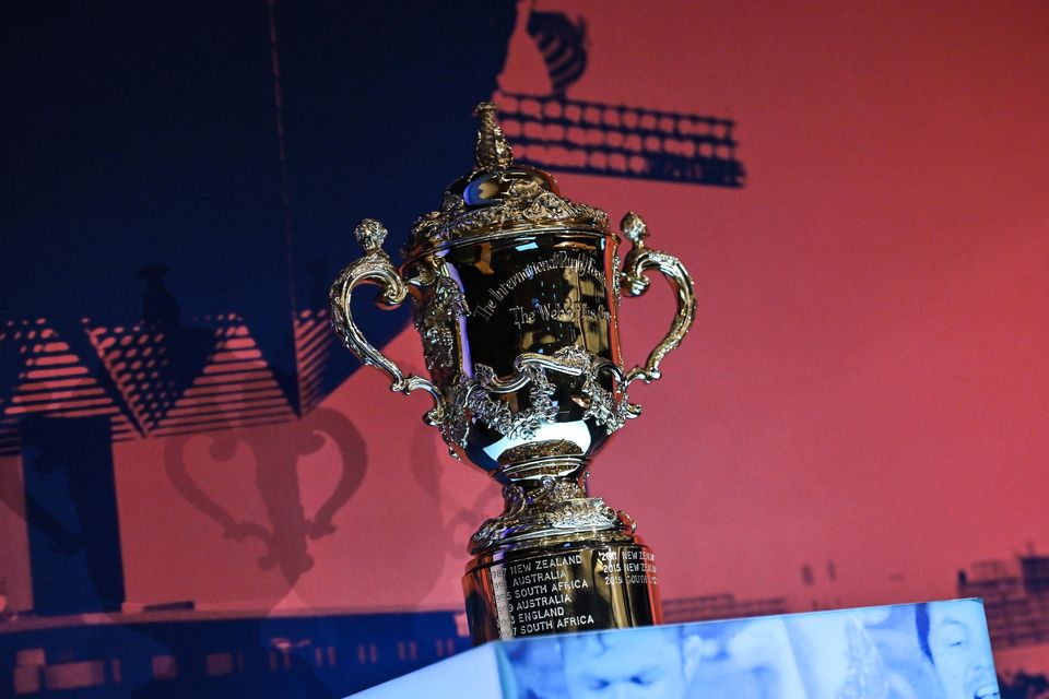 A general view of the William Webb Ellis cup. Photo: Brendan Moran/Sportsfile