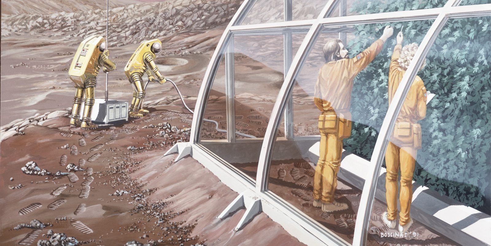 The small Earthlings who may help us thrive on the Moon, Mars