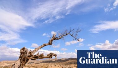 The Dead Don’t Bleed by Neil Rollinson review – a gripping tale of family and forbidden love | Fiction