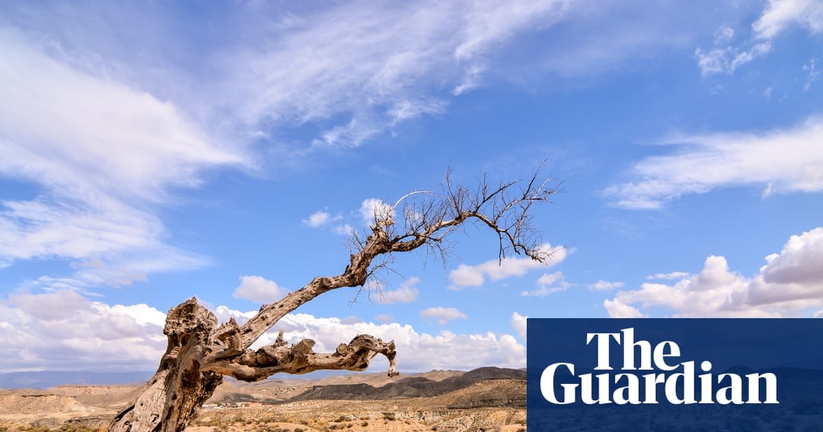 The Dead Don’t Bleed by Neil Rollinson review – a gripping tale of family and forbidden love | Fiction