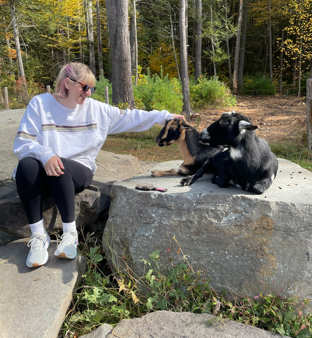 person interacting with two goats on a rock in a natural setting