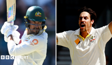 A pitch graphic displaying how Mitchell Starc scored more prolifically off the fuller ball