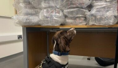 Welsh man charged in connection with discovery of cannabis worth €1.2m at Rosslare Europort