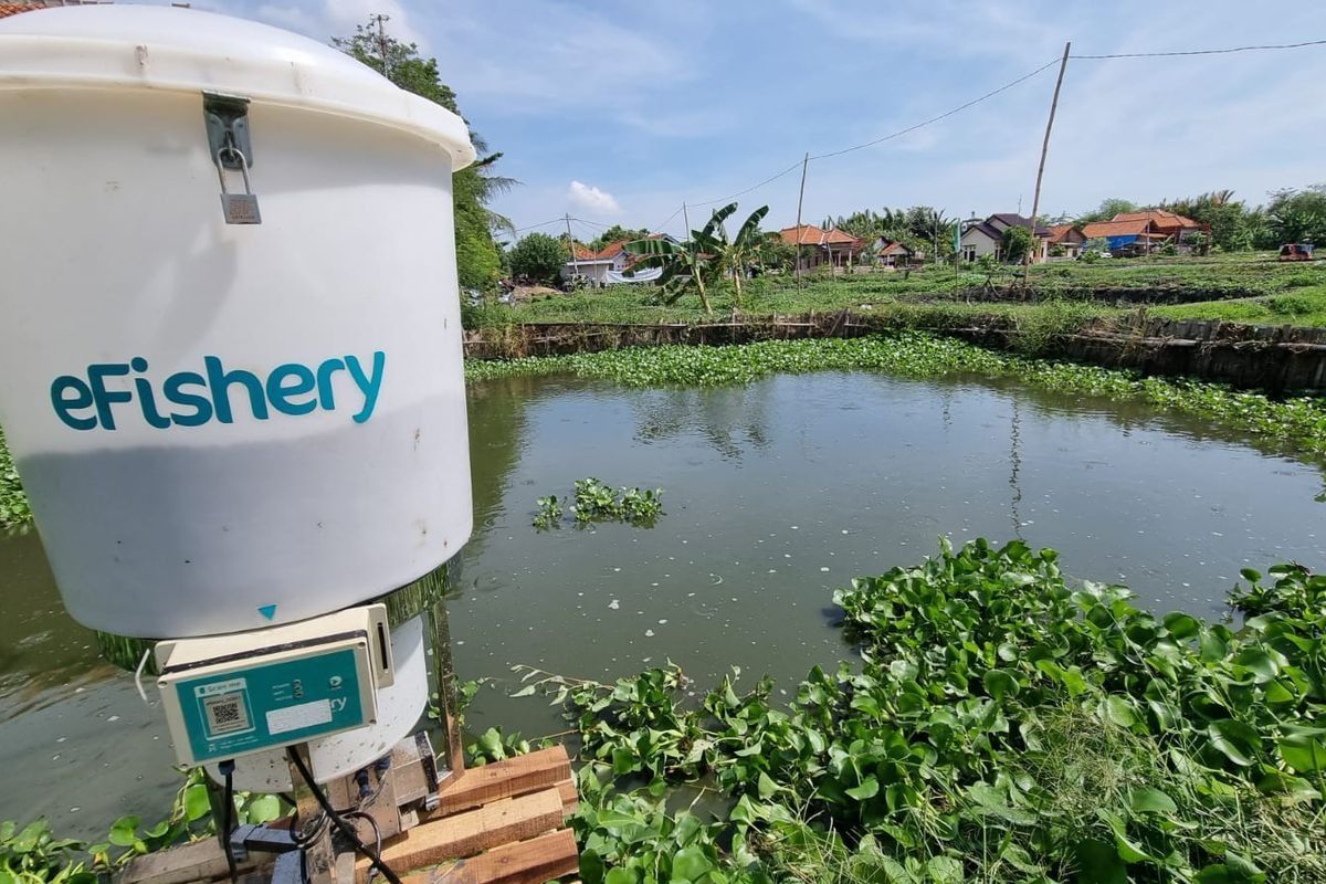 Collapse of eFishery haunts Indonesia’s startup scene