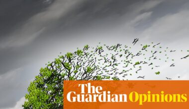 Distressing videos can have a lasting impact – here’s how to look after yourself in the wake of the Bondi attack | Ahona Guha