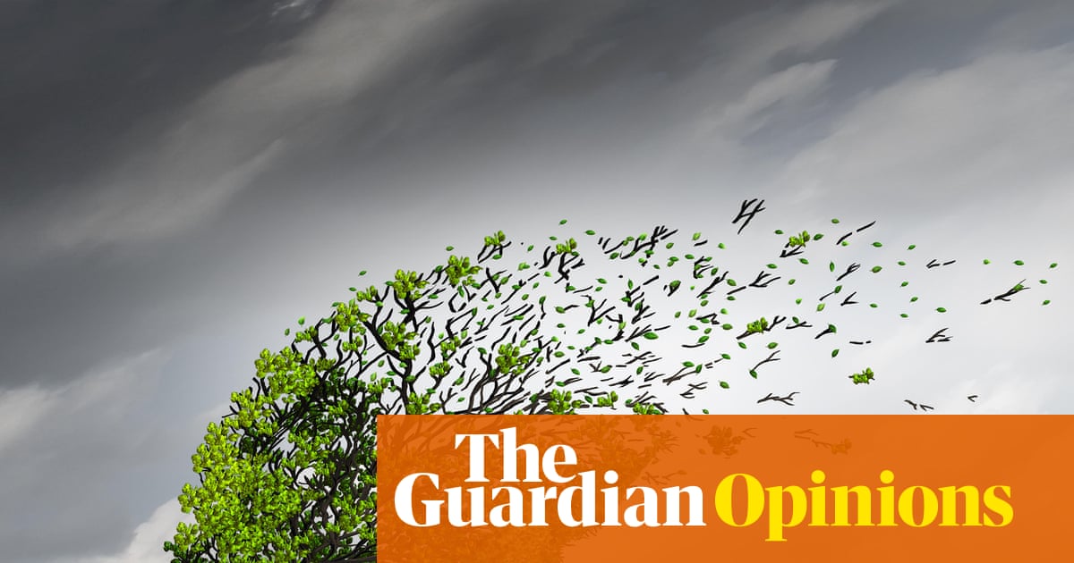 Distressing videos can have a lasting impact – here’s how to look after yourself in the wake of the Bondi attack | Ahona Guha