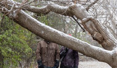 At 44 years old, can Taye retire from his government job as early as next year?