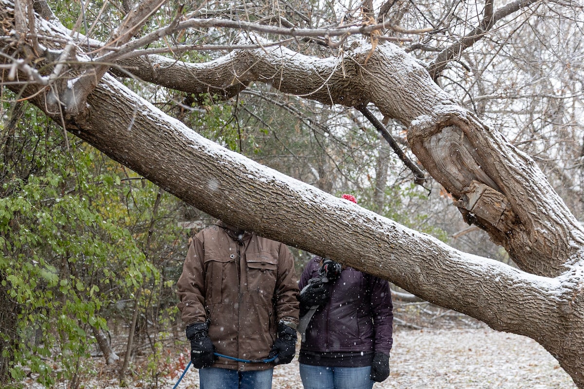 At 44 years old, can Taye retire from his government job as early as next year?