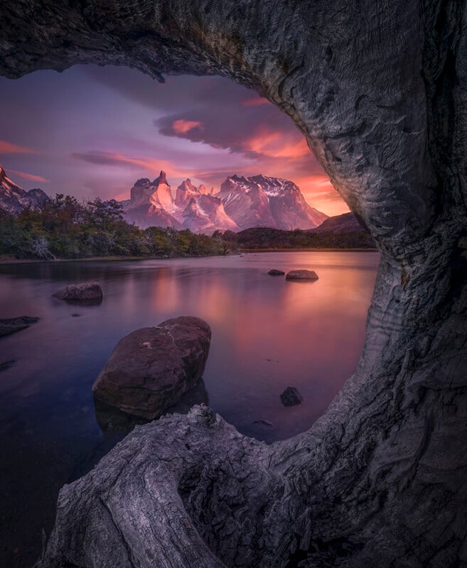 A stunning sunset view of jagged mountains, reflected in a calm lake, seen through the opening of a weathered, gnarled tree trunk in the foreground.
