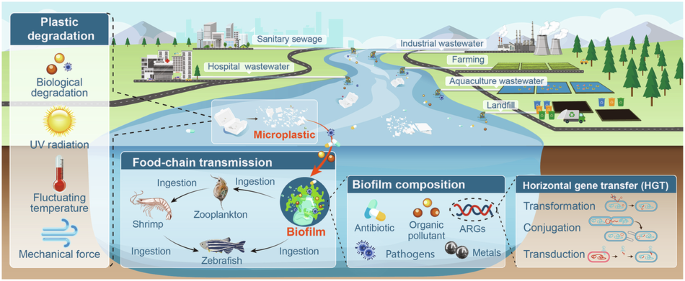 Microplastic biofilm as hotspots of antibiotic resistance genes and potential pathogens