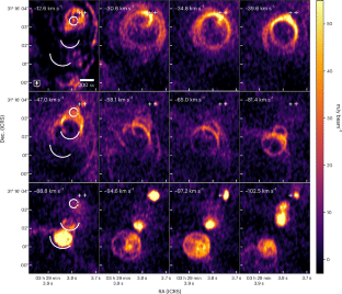 41550 2025 2716 Fig2 Html