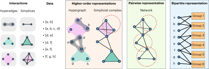 Higher-order interactions shape collective human behaviour
