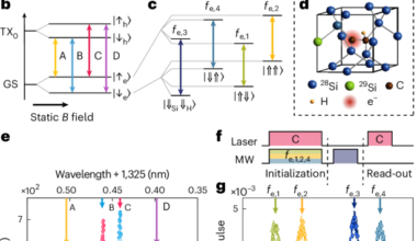 Entanglement of a nuclear spin qubit register in silicon photonics