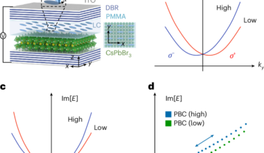 Twist-induced non-Hermitian topology of exciton–polaritons