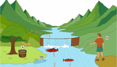 Passive air sampling detects environmental DNA transfer from water into air