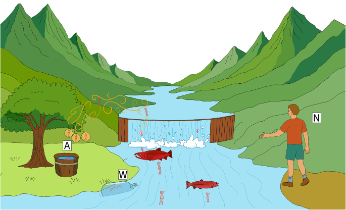 Passive air sampling detects environmental DNA transfer from water into air