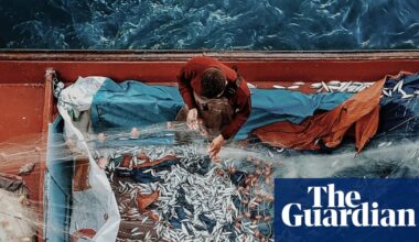 ‘I climbed a building to get this shot’: Ahmad Mansour’s best phone picture | Photography