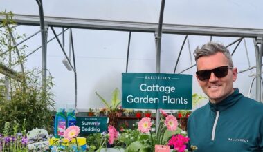 Businessman jailed over State’s largest crystal meth haul faces forfeiting part of house sale – The Irish Times