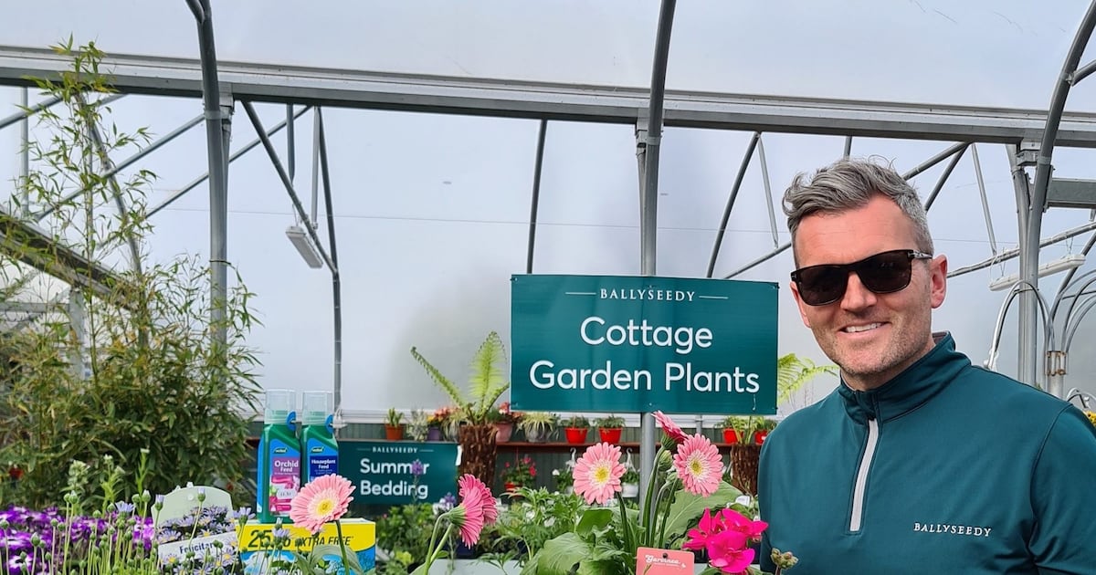 Businessman jailed over State’s largest crystal meth haul faces forfeiting part of house sale – The Irish Times