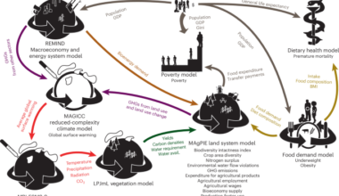 A food system transformation pathway reconciles 1.5 °C global warming with improved health, environment and social inclusion