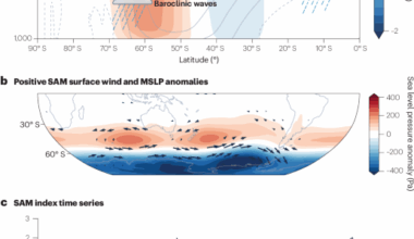 Southern Annular Mode dynamics, projections and impacts in a changing climate