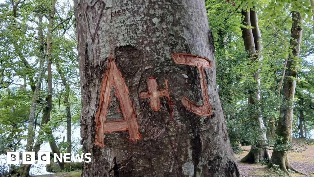 Lake District tree carving 'causes lasting harm'
