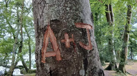 LDNPA A carving reading A + J on a tree in the Lake District. The scarring left behind is a red colour. There are many other trees in the background which are next to a lake.