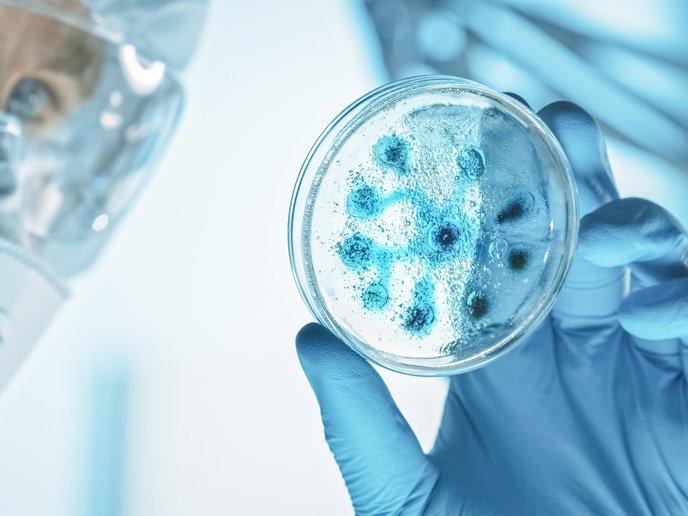 Strengthening Europe’s response to infectious disease threats | ISIDORe Project | Results in Brief | HORIZON | CORDIS