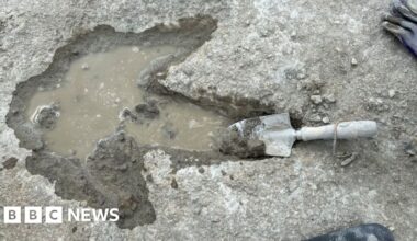 The science stories that stopped us in our tracks