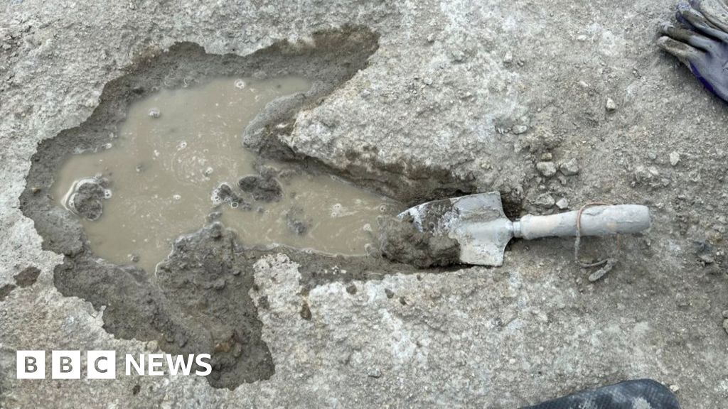 The science stories that stopped us in our tracks