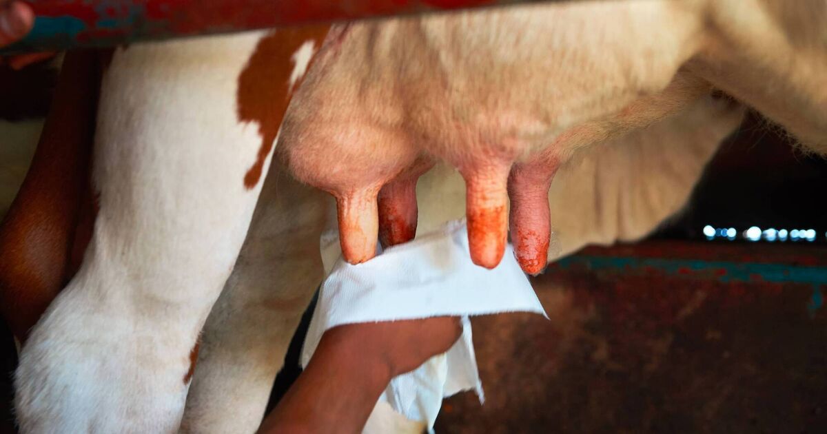 Herd Tasks: Your weekly farming checklist