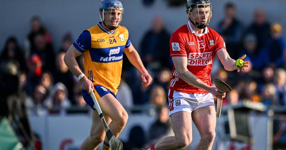 Hurling review committee needed, says ex-referees head Willie Barrett