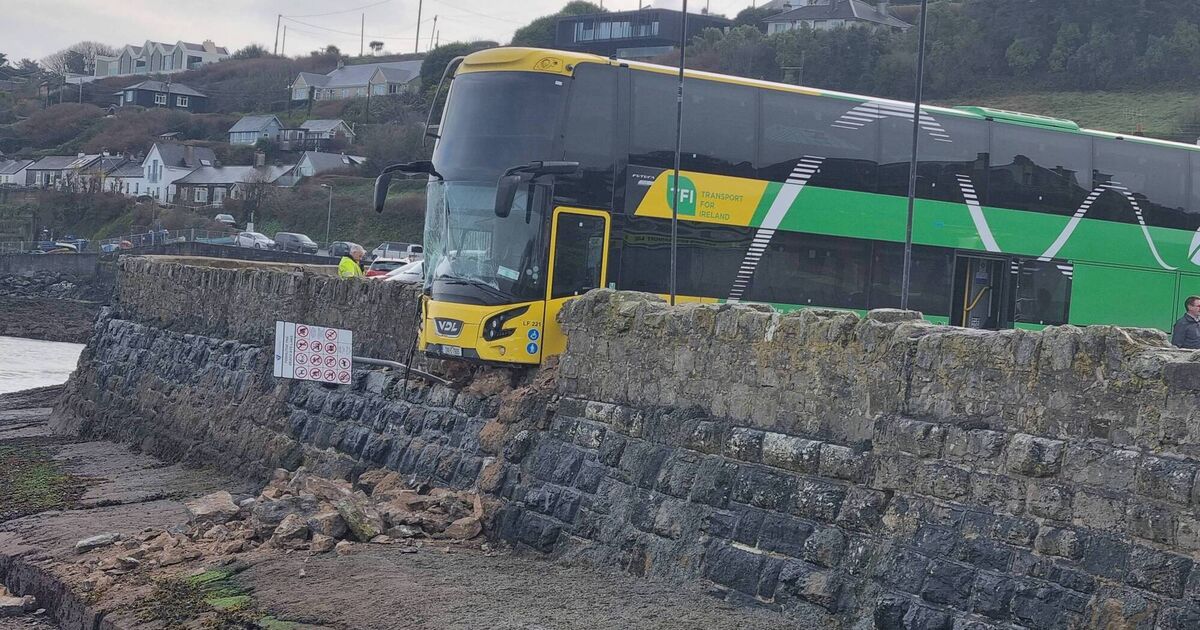 Double decker bus crashes through sea wall after driver parks it at Waterford tourist spot