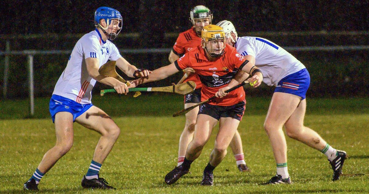 UCC finish strong to see off Mary Immaculate College and secure Division 1 Hurling title