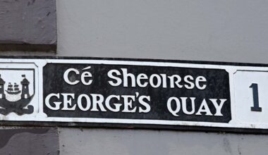 Judge imposes fine on woman who was drunk and swimming in river at Cork city quay