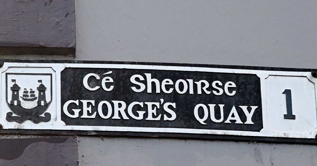 Judge imposes fine on woman who was drunk and swimming in river at Cork city quay