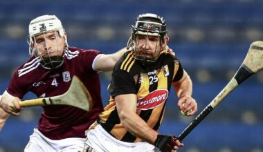 Richie Hogan-inspired Danesfort crowned Leinster club IHC champions