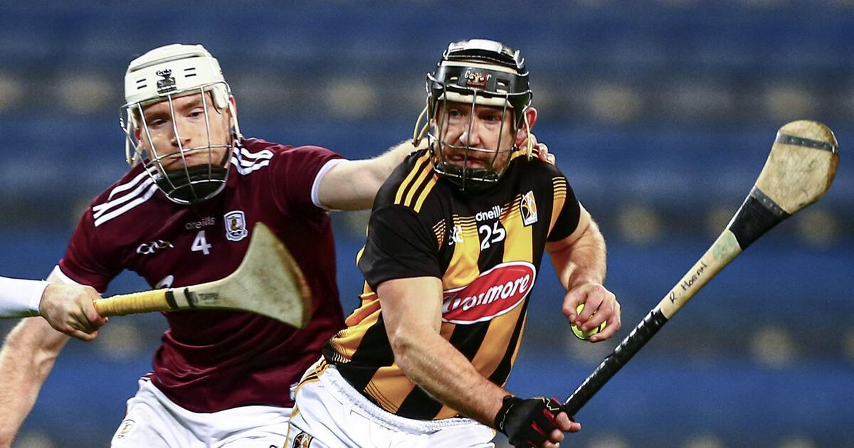 Richie Hogan-inspired Danesfort crowned Leinster club IHC champions