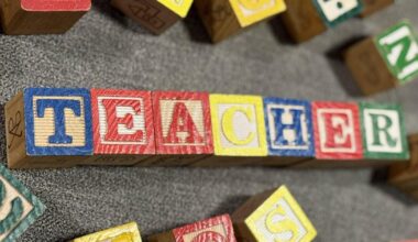 I survived my first parent teacher meeting... just about