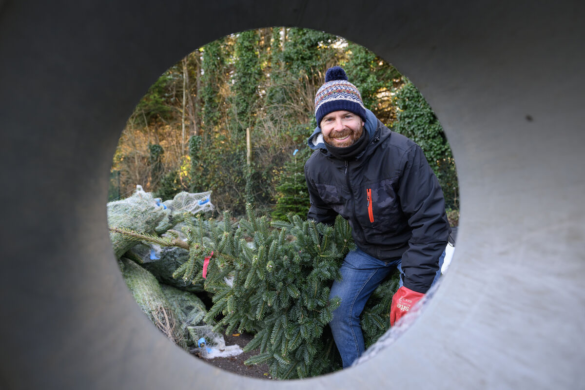  Colm Crowley who runs a Christmas business selling Christmas trees at Mahon Industrial Park Cork. - Picture Dan Linehan