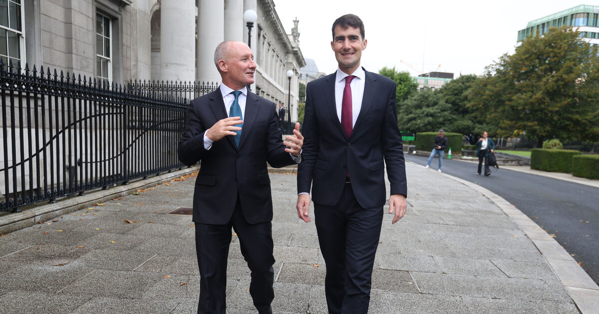 Draft review reveals Fianna Fáil was alerted to Jim Gavin rental issue ahead of nomination