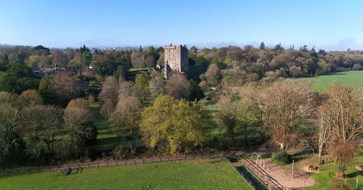 Blarney Castle owners lodge plans for outdoor swimming pool on estate grounds 